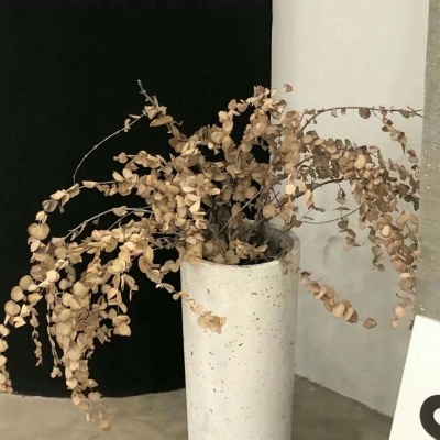 兽设四季场景绘制福瑞群